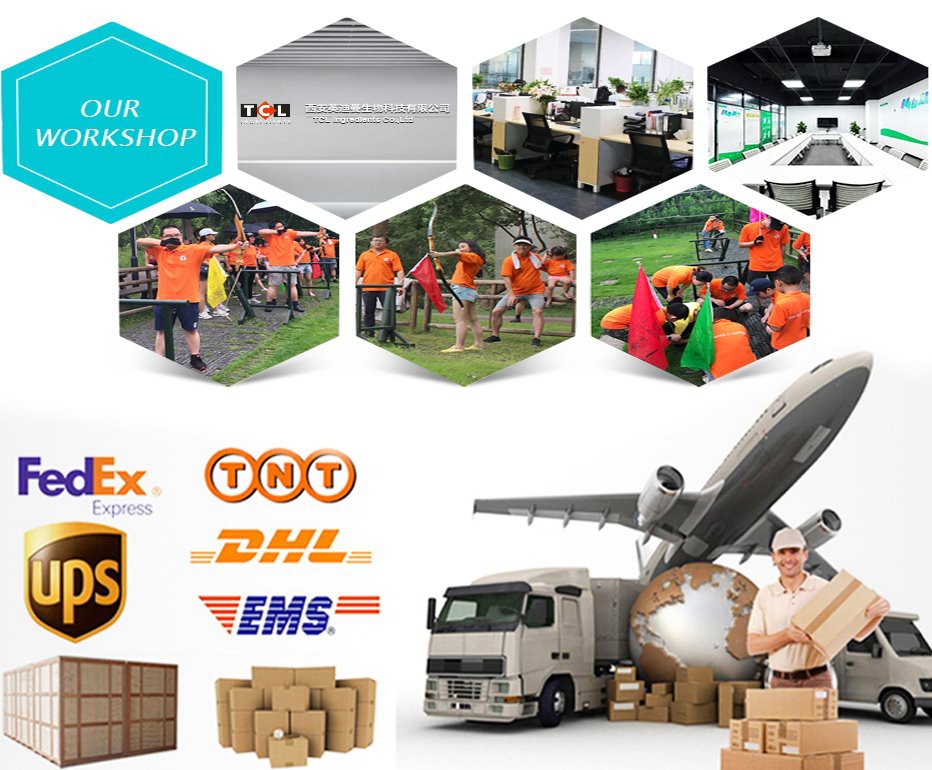 nutrition inositol best supplier