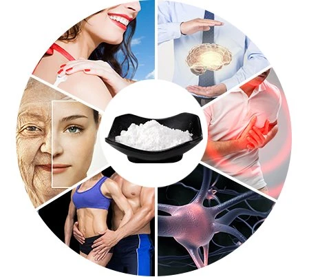 natural epimedium extract good factory