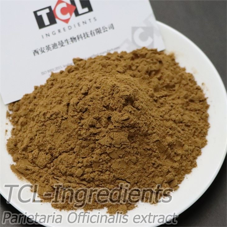 Estratto di parietaria officinalis